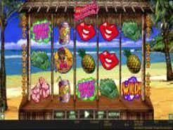 Bikini Beach Slots